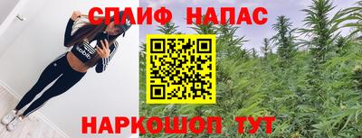 дмт Краснодар