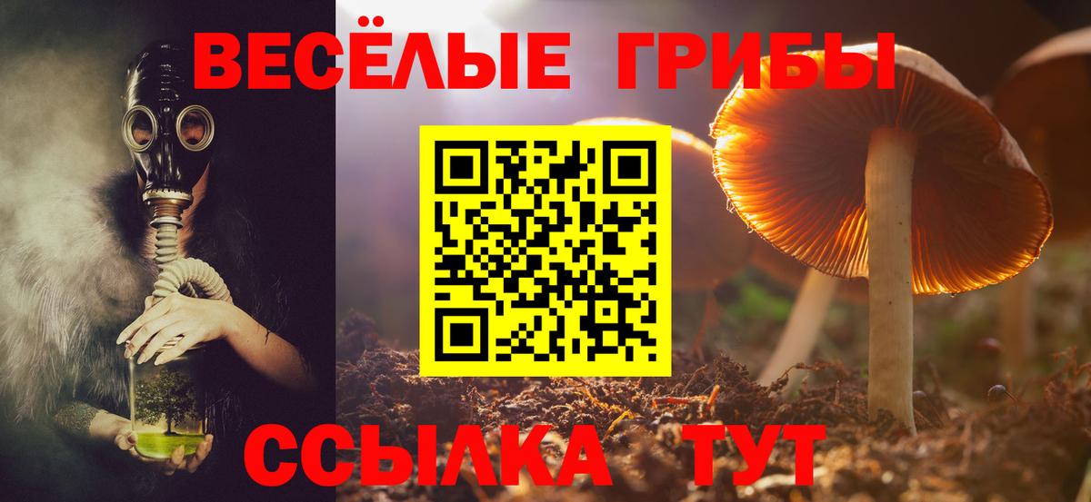 Галлюциногенные грибы мухоморы Коломна